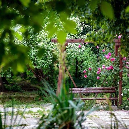 Green Apartment - Top Location, Near City Center! София Екстериор снимка